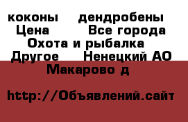 коконы    дендробены › Цена ­ 25 - Все города Охота и рыбалка » Другое   . Ненецкий АО,Макарово д.